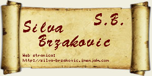 Silva Brzaković vizit kartica